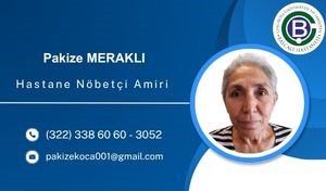 Pakize Meraklı
